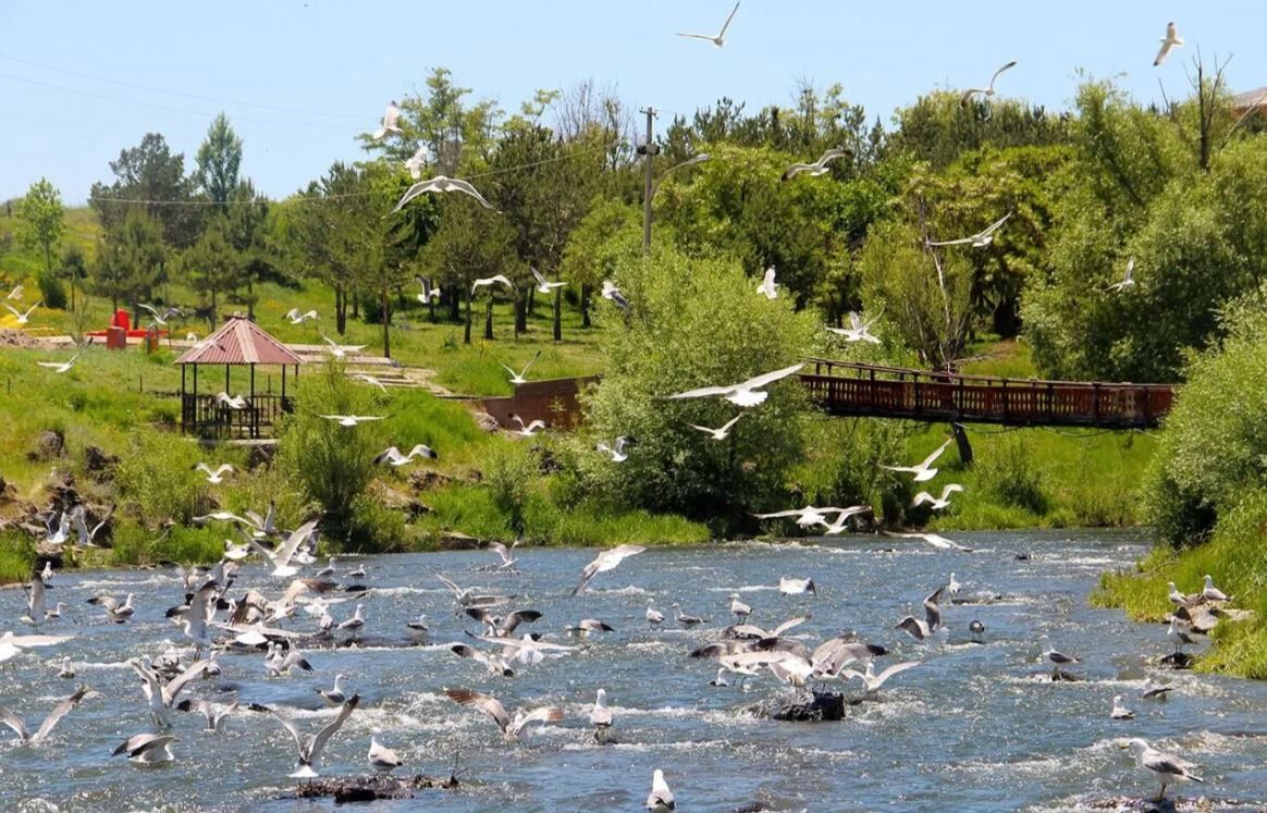 Erçiş Balık Bendi