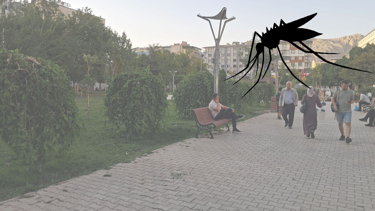Belediyeler Sus Pus Van'da Sivrisinek Istilası!