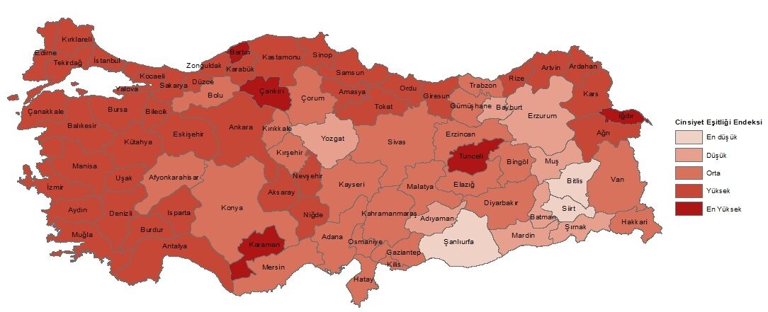 Indir (2)-5
