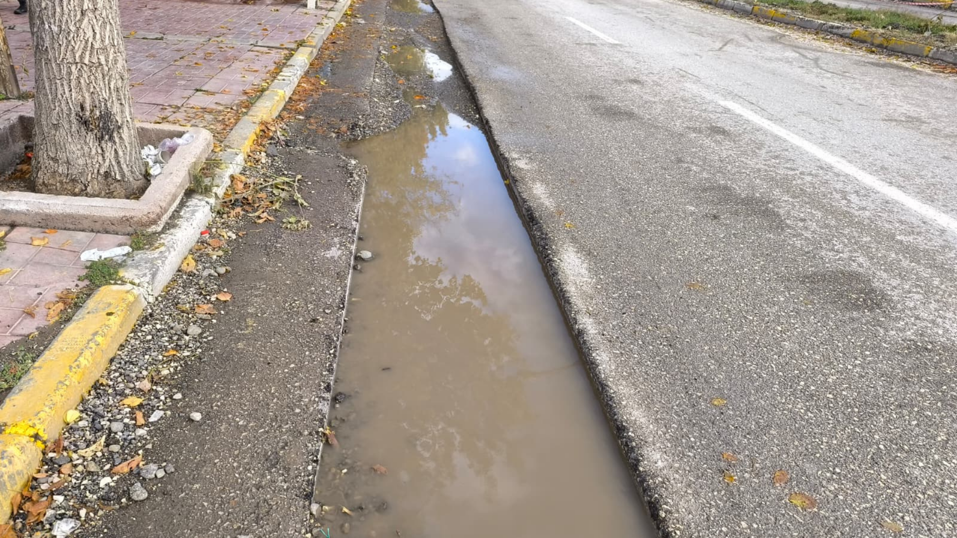 İskele Caddesi̇