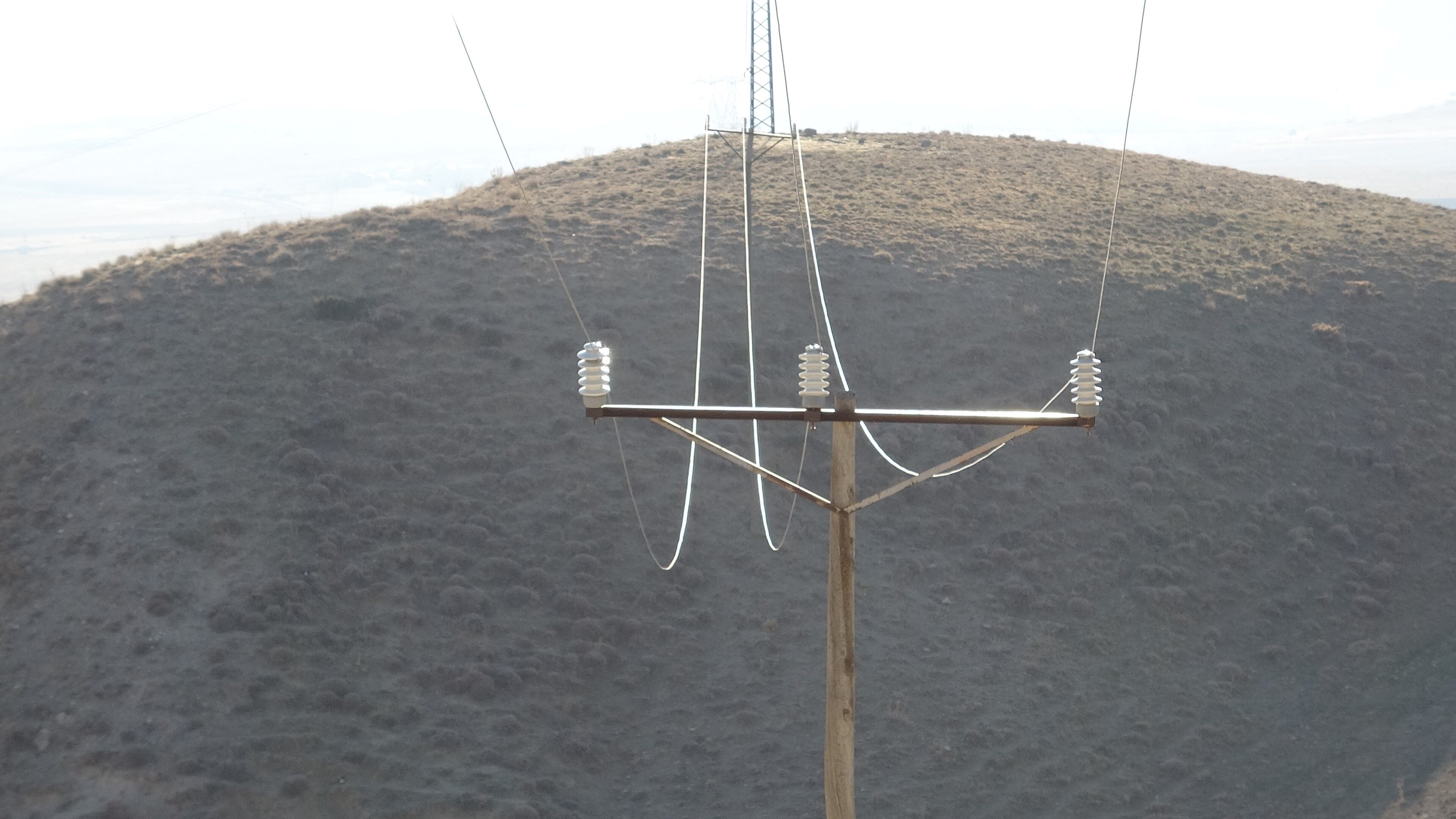 Van’da Düşen Enerji Hattı Yaban Hayvanlarını Telef Etti (2)