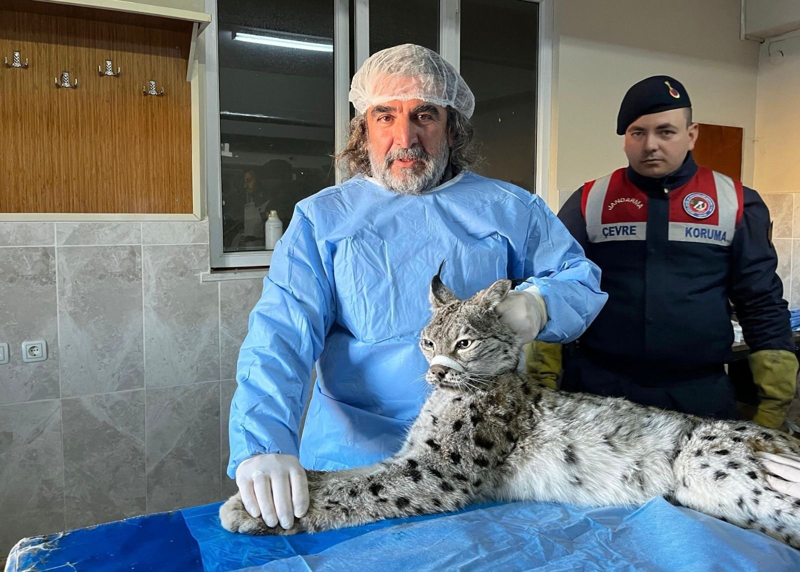 Yaban Hayvanları Şehirleşme Baskısıyla İnsanlara Daha Çok Yaklaşıyor (1)