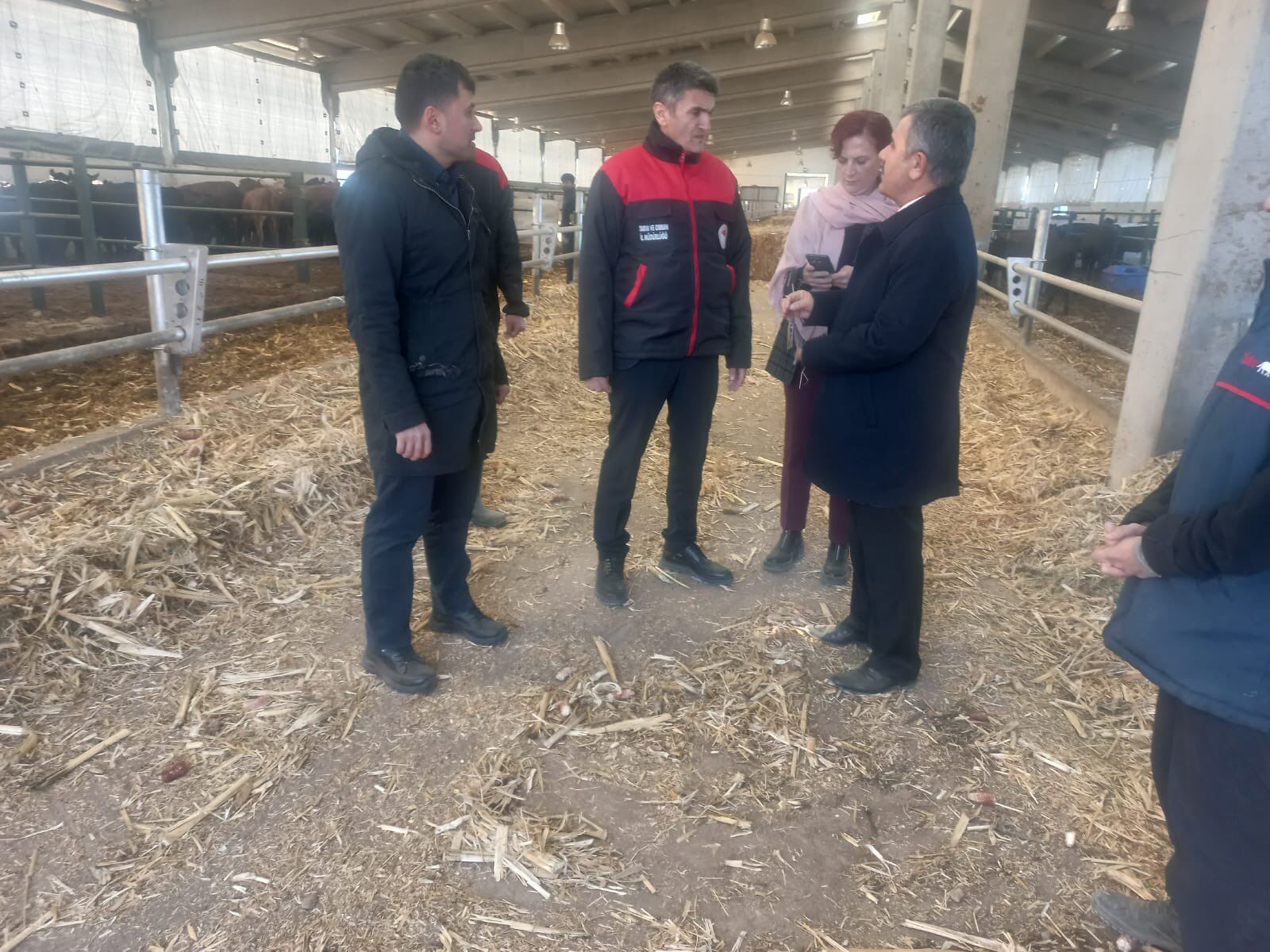 Van’da Düve Üretim Merkezi Faaliyete Geçti İlk Etapta 1.985 Düve Teslim Alındı (3)