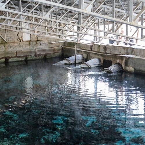 4766Ce36 E9A7 47Be 818C B33A3128447D 6 B8 X1 W H B 7824 Tr