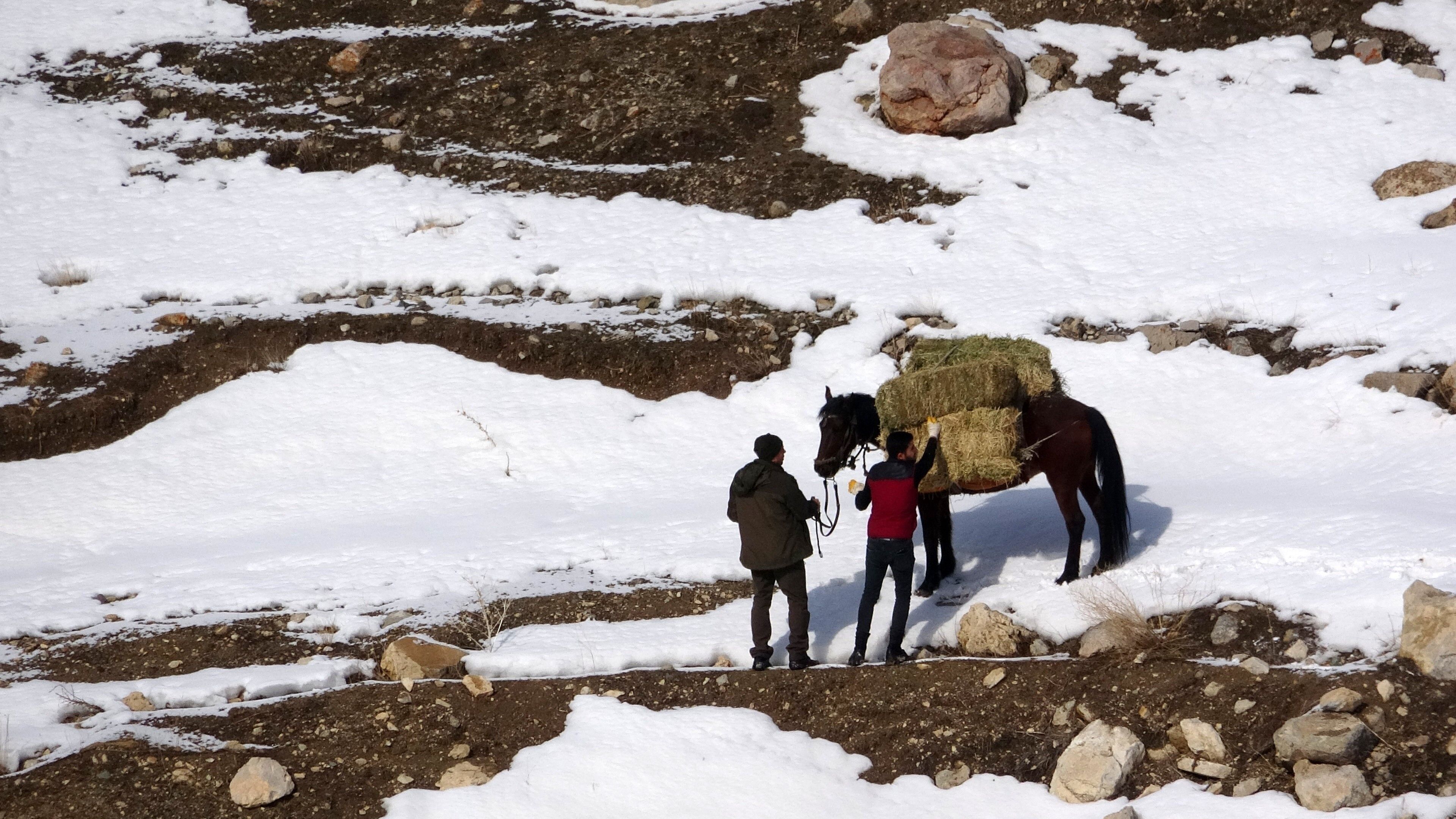 Doğru Bilinen Yanlışlar Yaban Hayvanları İçin Yem Bırakmak Doğru Mu (1)