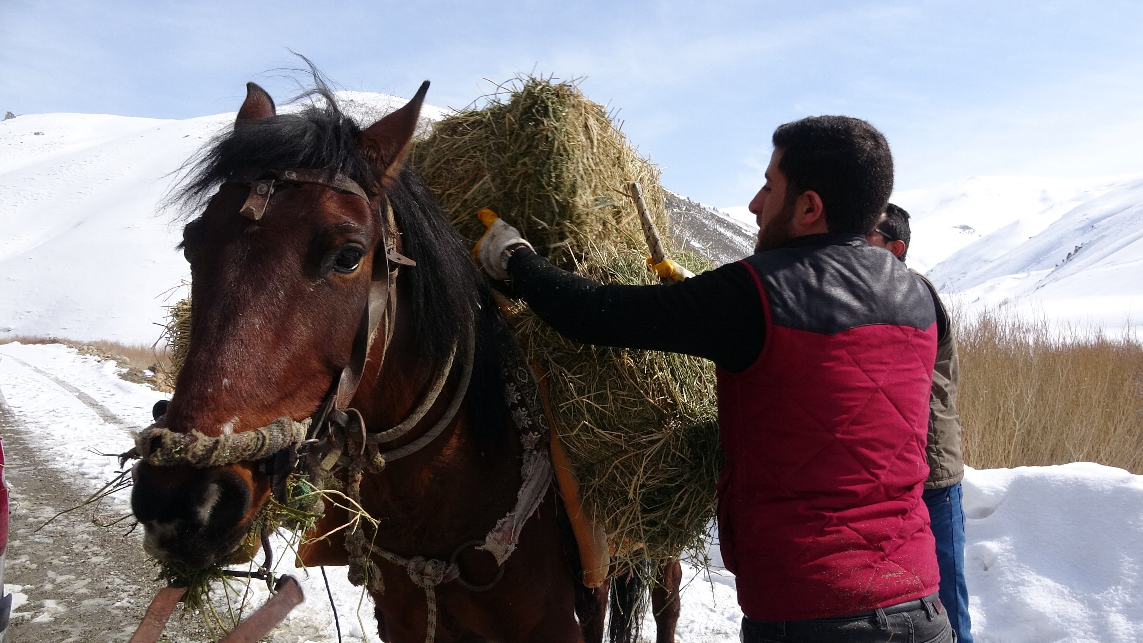 Doğru Bilinen Yanlışlar Yaban Hayvanları İçin Yem Bırakmak Doğru Mu (2)