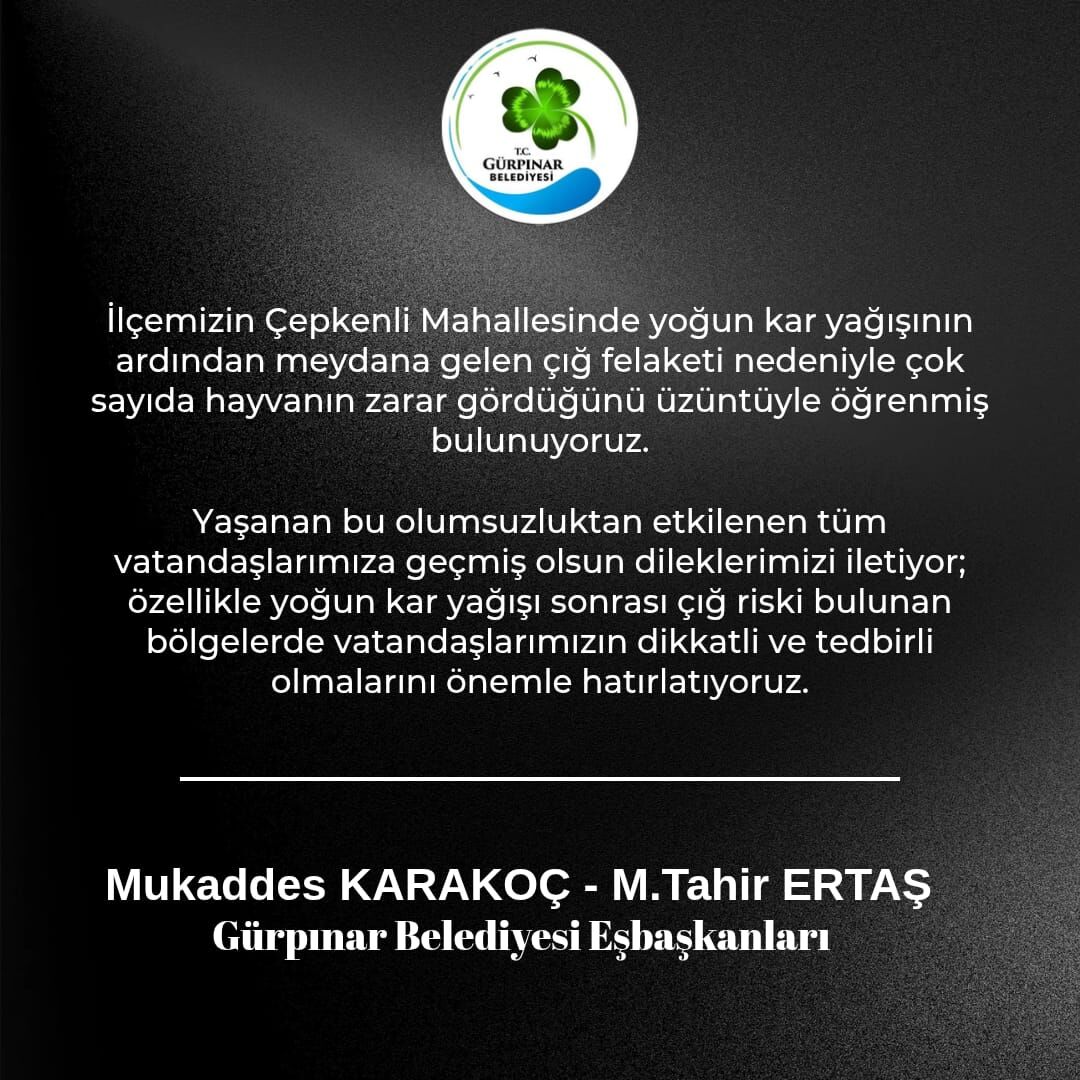 Van’da Çığ Düştü Çok Sayıda Hayvan Telef Oldu (2)