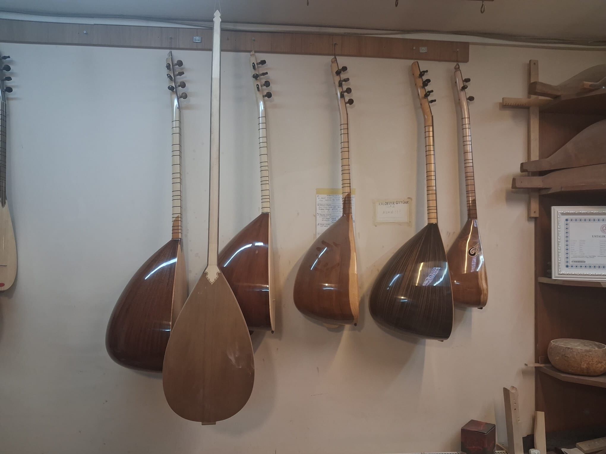 Van’da Bir Ömür, Bir Ağaç, Bin Ses Tevfik Usta’nın Bağlama Mucizesi (3)
