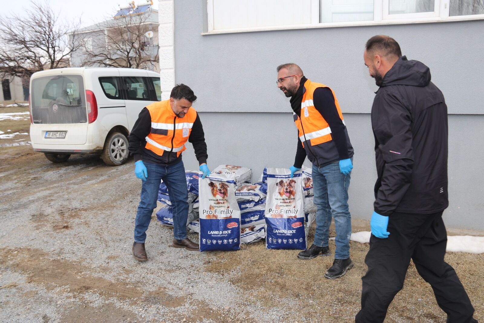 Van’da Belediye Sahipsiz Hayvanları Sahiplendirilmeye Başladı (1)