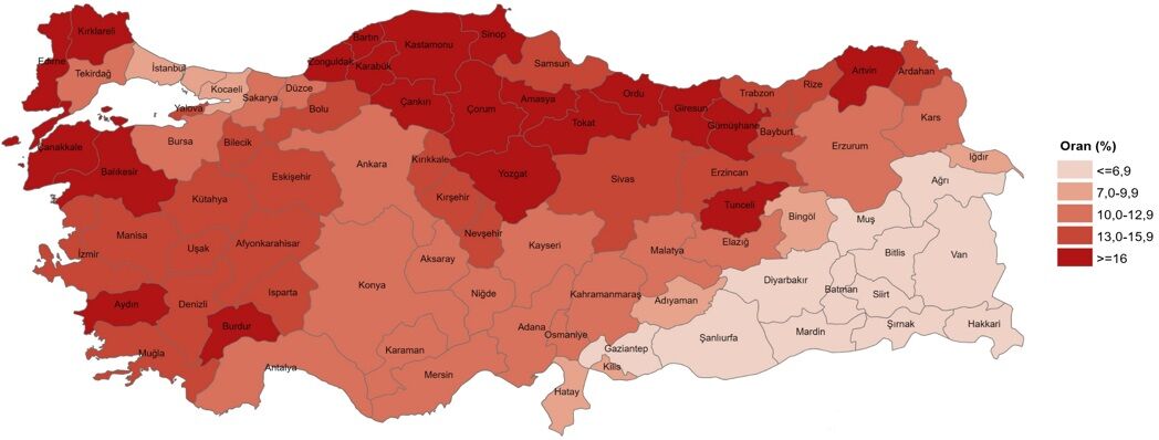 Van’da Yaşlı Nüfusun Toplam Nüfusa Oranı Ne Kadar İşte Tüi̇k Verileri