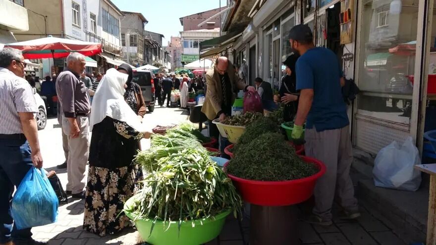 Dağlardan Toplanıyor, Tezgahta Satılıyor Hem Geçim Hem De Şifa Kaynağı (2)