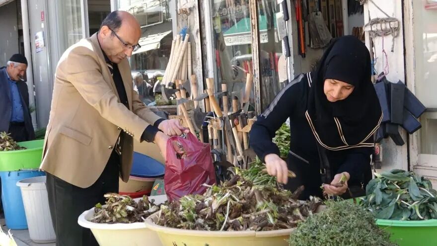 Dağlardan Toplanıyor, Tezgahta Satılıyor Hem Geçim Hem De Şifa Kaynağı (3)