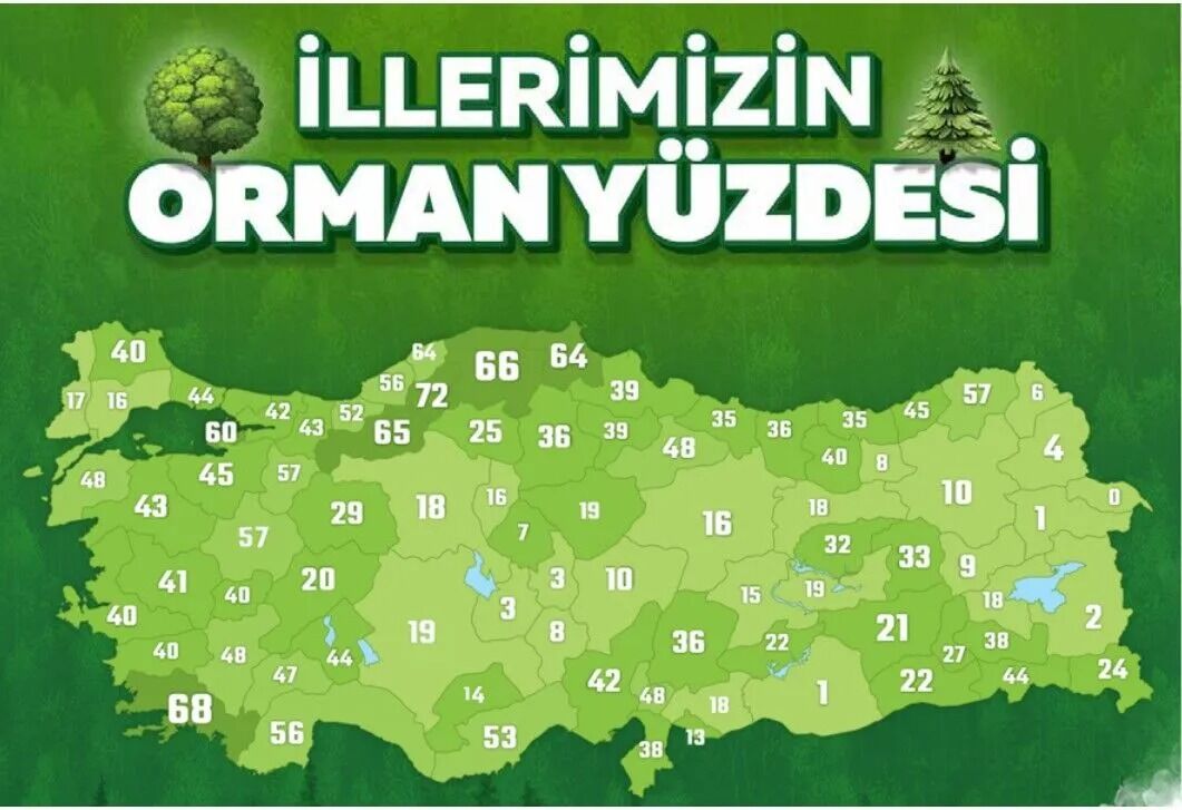 Van Türkiye’nin En Az Ormanlık 4’Üncü İli Oldu (1)