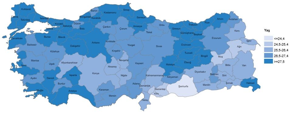 Van’da Bir Yılda 17 Bin 620 Bebek Dünyaya Geldi (1)