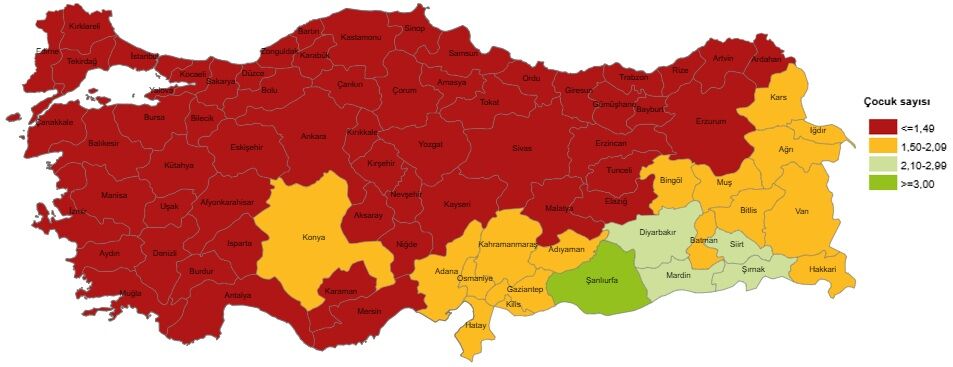 Van’da Bir Yılda 17 Bin 620 Bebek Dünyaya Geldi (3)