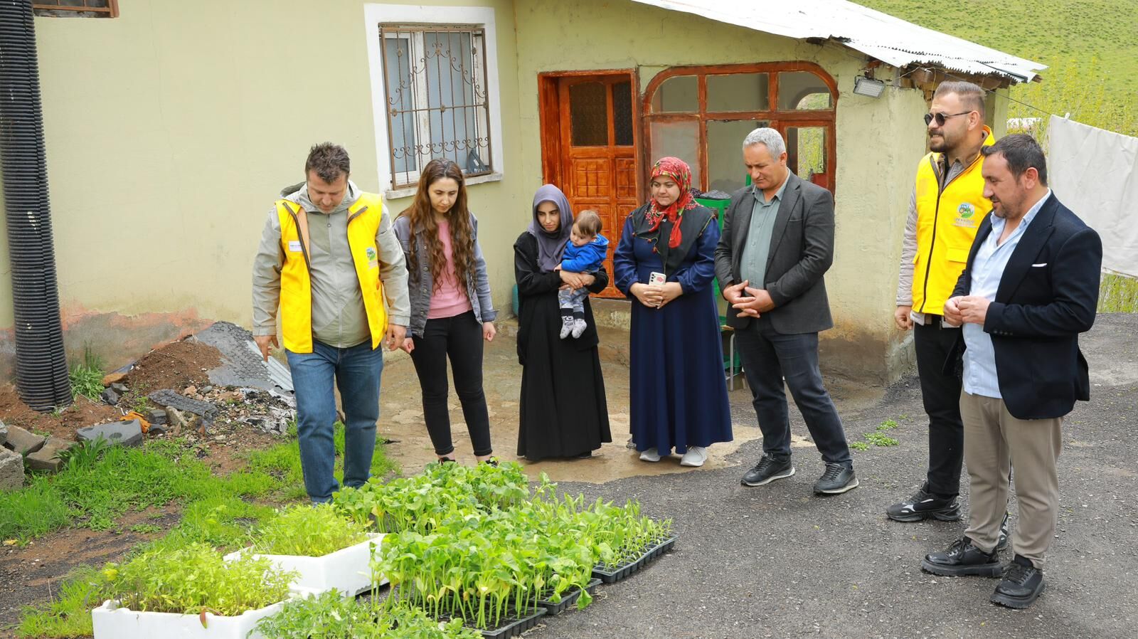 Van’da Ücretsiz 80 Bin Sebze Fide Dağıtıldı (1)