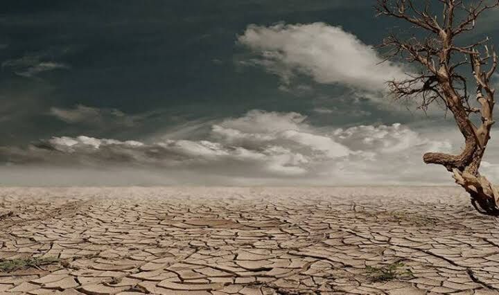 Images-11