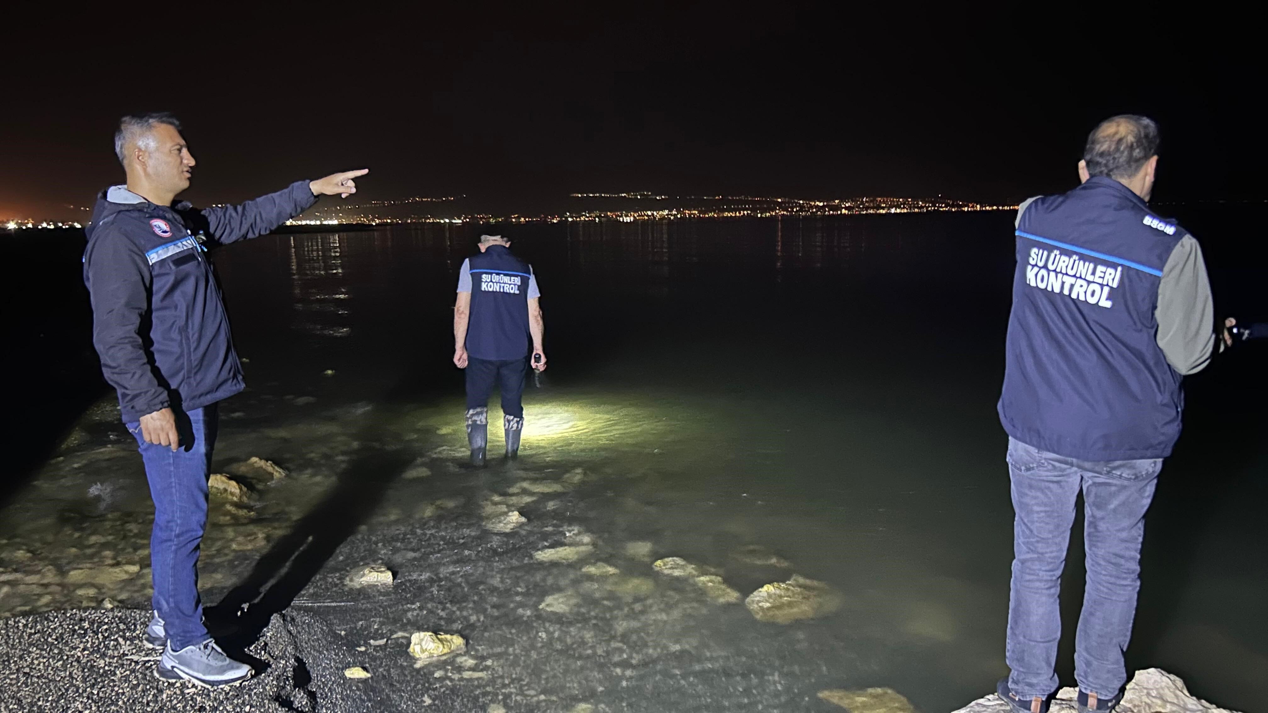 Milyonlarca Inci Kefali Yavrusu Van Gölü'ne Dönmeye Başladı